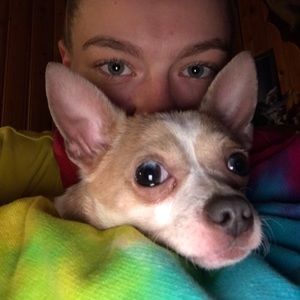 Meet your Posher, Brooke